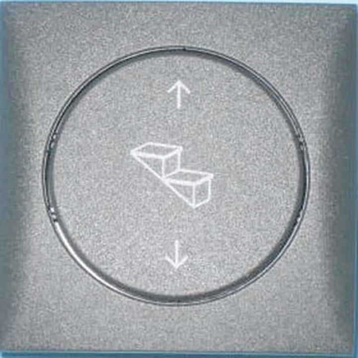 Strømbryter 12V Fotsteg Sølv i gruppen Campingvogn & Bobilt / Elektronikk / Strømbryter & In/Utgang / Strømbryter hos Campmarket (65624)