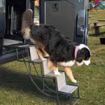 Camp4 Hundetrapp Jil Sammenleggbar