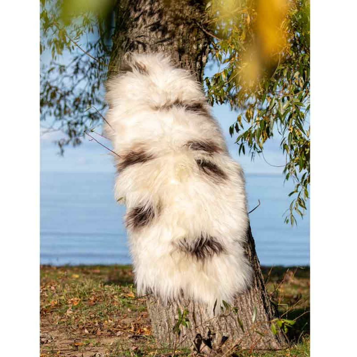 Lammeskinn Molly 180x60cm Royal Camping i gruppen VINTER / Vinterartikler hos Campmarket (73802)