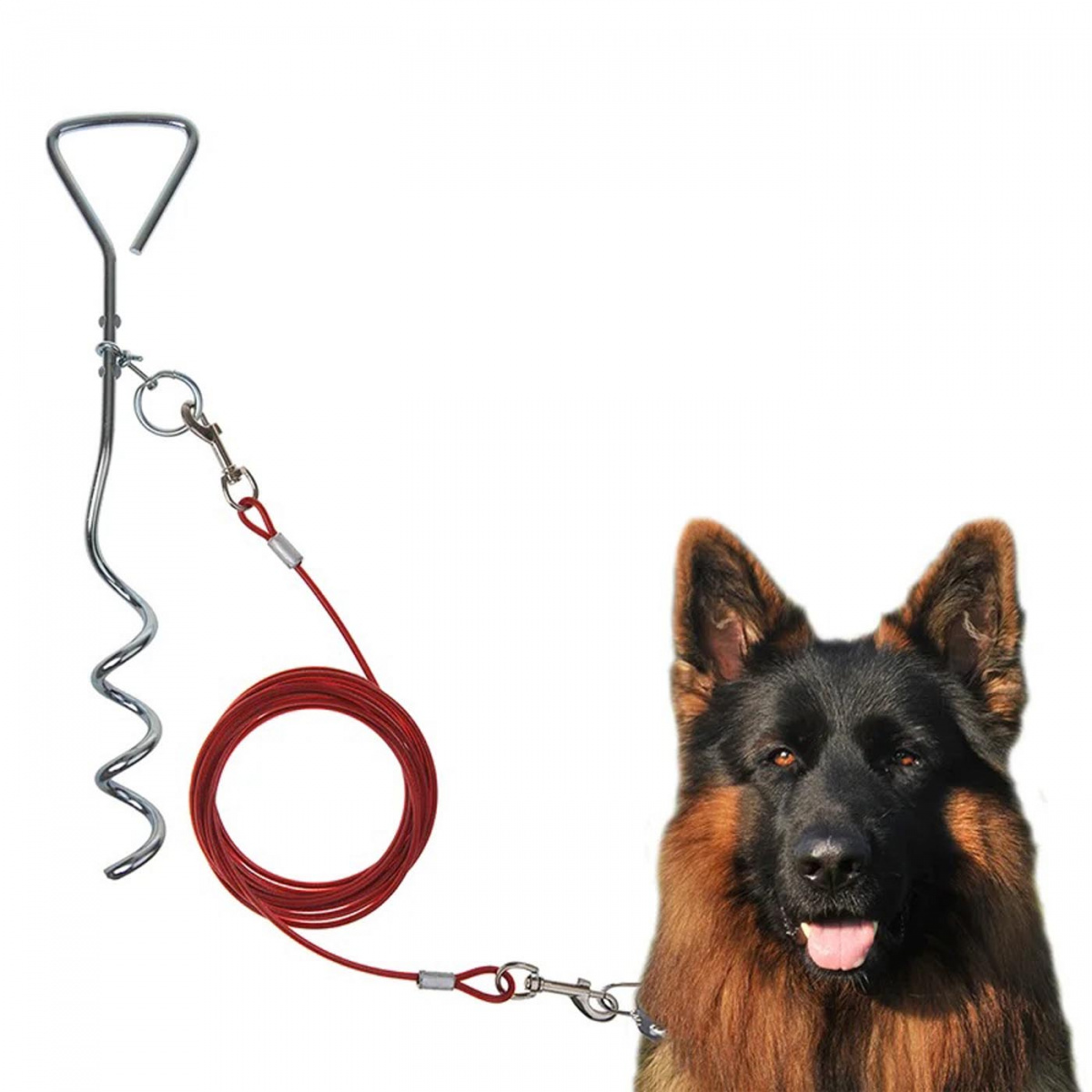 ProPlus Markskruv Hund Med Kabel 4,5m i gruppen Annet / For kjæledyrene hos Campmarket (78366)