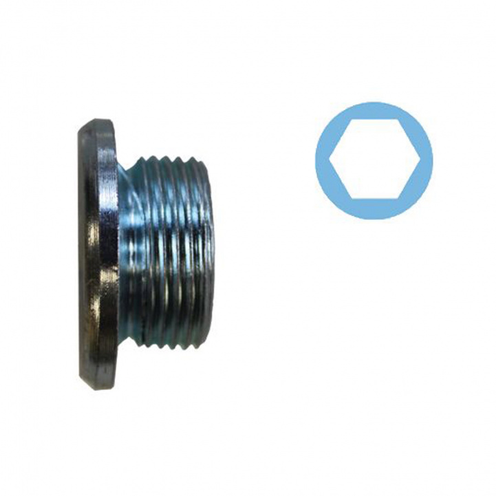 Låseskrue Oljetank med pakning. Ducato. i gruppen Campingvogn & Bobilt / Karosseri / Oljer & tilbehør hos Campmarket (78627)