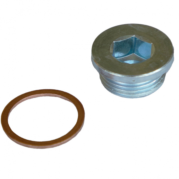 Låseskrue Oljetank Med Pakning. Ducato/Iveco. i gruppen Campingvogn & Bobilt / Karosseri / Oljer & tilbehør hos Campmarket (78628)