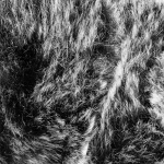 Royal Camping Teppe Amalia Grå 130x170 cm Royal Camping Teppe Amalia Grå 130x170 cm