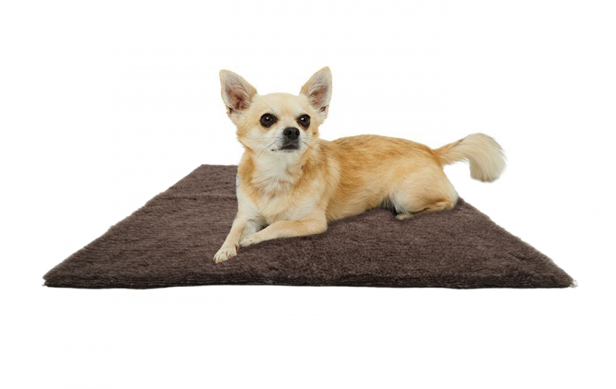 Canis Vetbed S 75x60 cm i gruppen Annet / For kjæledyrene hos Campmarket (82844)