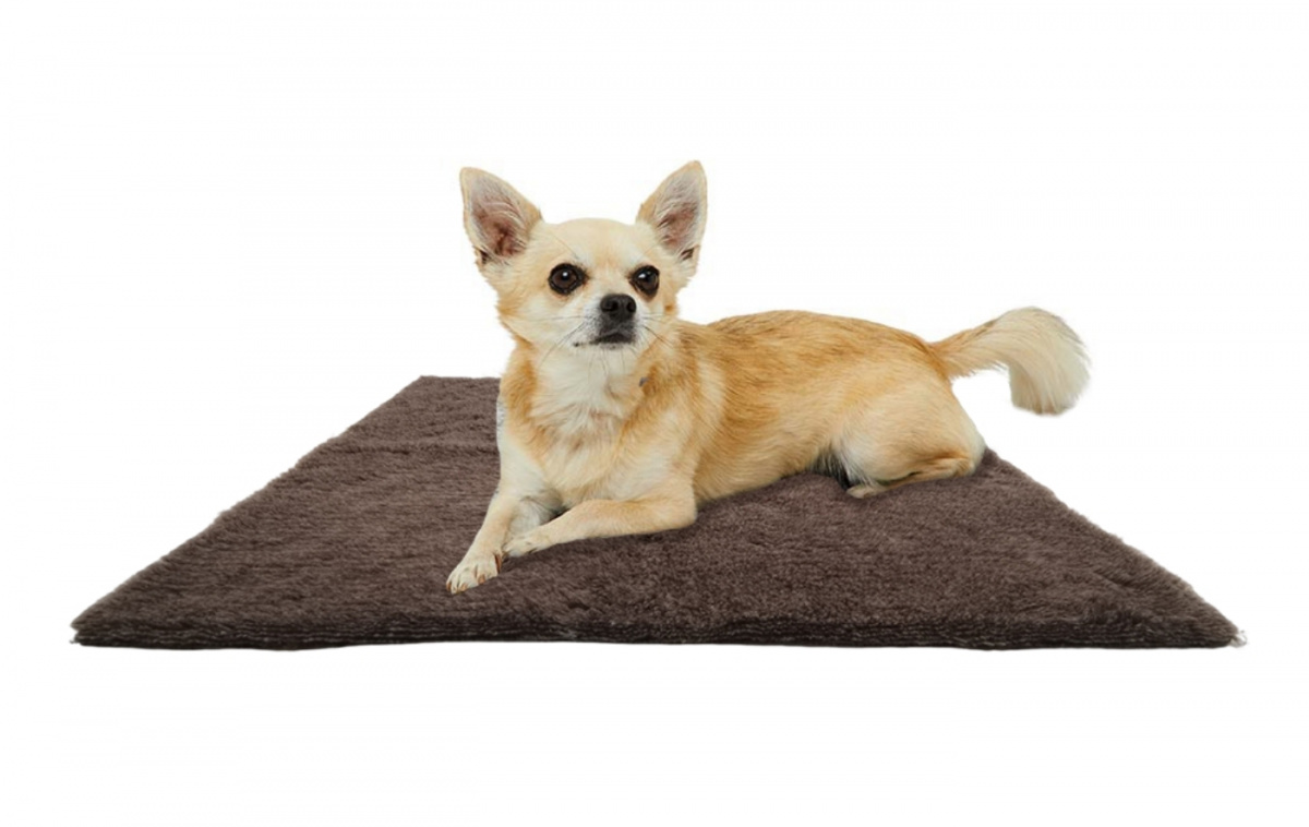 Canis Vetbed M 75x100 cm i gruppen Annet / For kjæledyrene hos Campmarket (82845)