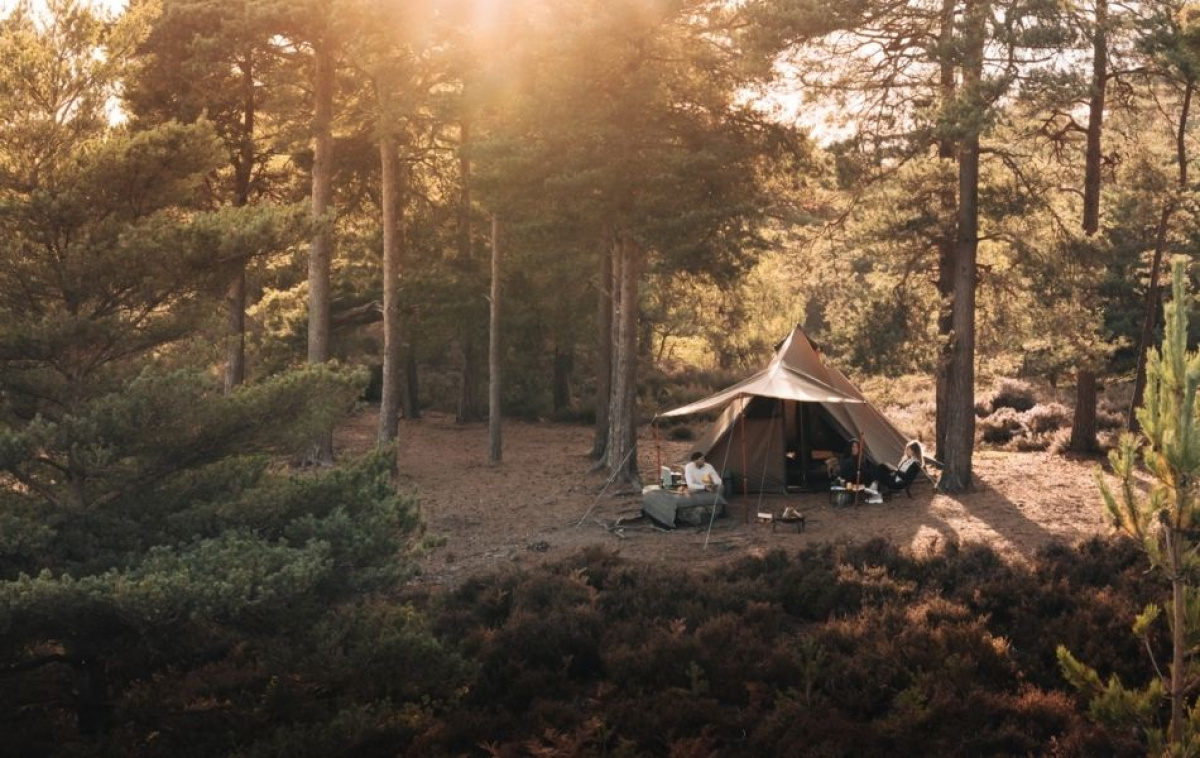 Kampa Pineveil 04 i gruppen Utendørs / Campingtelt hos Campmarket (82932)