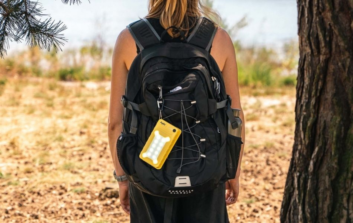 Aqiila Powerbird 2in1 Powerbank & Solpanel BS10 i gruppen Campingvogn & Bobilt / Elektronikk / Solpaneler hos Campmarket (84018)