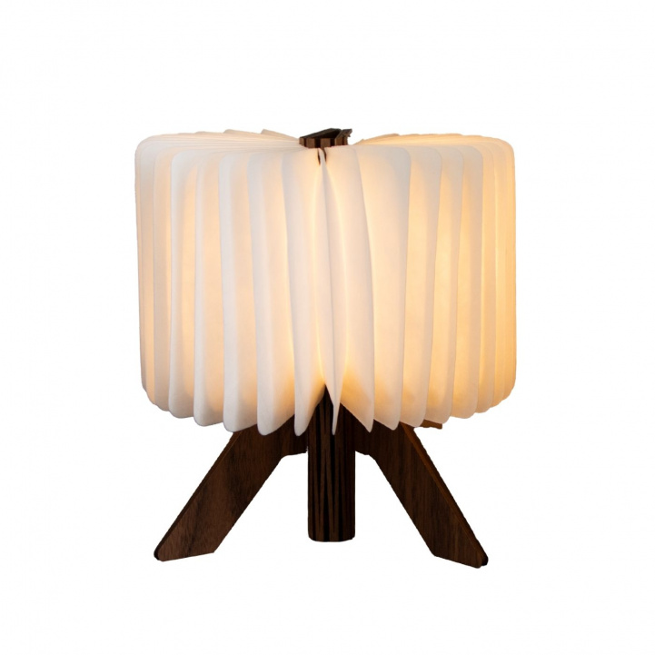 Bordlampe R-Shapelamp i gruppen Hjem & Innredning / Belysning & Lykter hos Campmarket (84073)